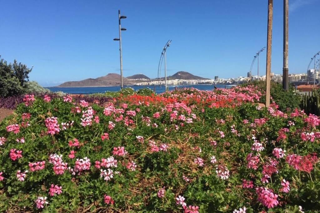 Appartamento el Ático de Mateo 5A Las Palmas de Gran Canaria Esterno foto