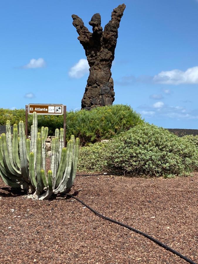 Appartamento el Ático de Mateo 5A Las Palmas de Gran Canaria Esterno foto